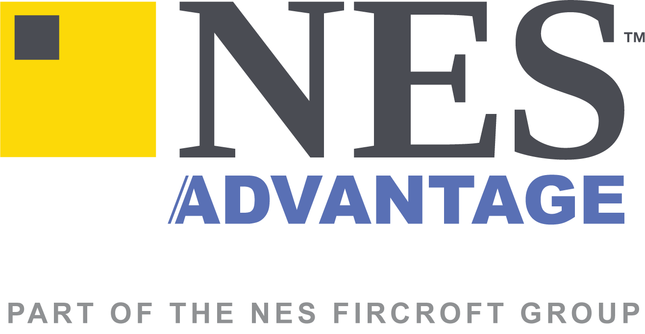 nes footer logo